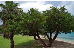 Hotel Beautiful Ground Floor! Corner! Just Steps To Ocean And Pool!120 Napili-Honokowai Exteriér fotografie
